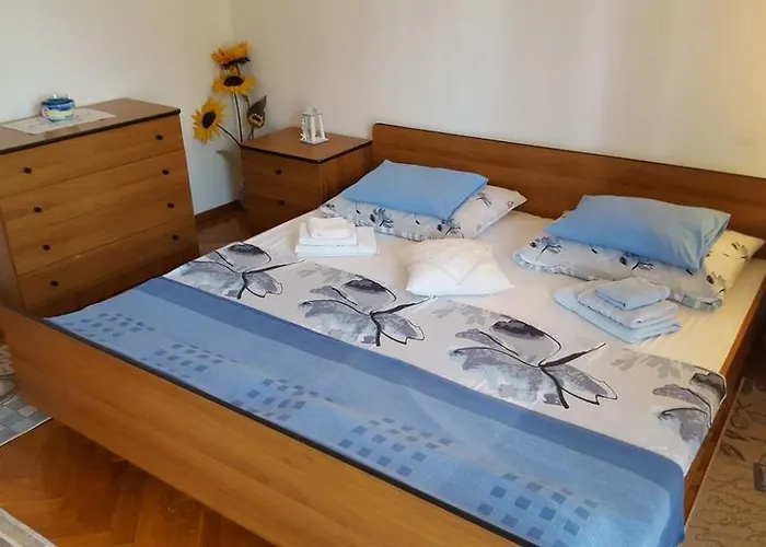 Sofia נייביצה