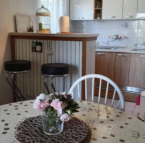 公寓 Sofia 奈维斯